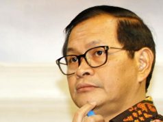 Pramono Anung, Pendamping Cerdas dan Brilian Pak Jokowi