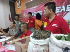 Bisakah Doraemon Mengubah Daun jadi Uang?