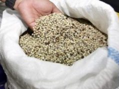 Menyedihkan: Indonesia Impor Rempah-rempah