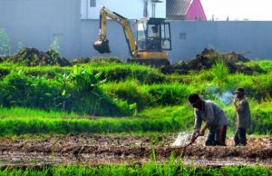 Petani Cemaskan Akses Modal dan Tanah