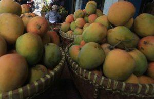 Kerja Sama Teknologi Pascapanen untuk Buah