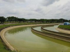 Apa Kabar Proyek 1 Juta Hektar Irigasi Baru Jokowi?