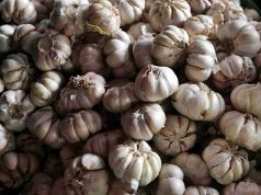 Tata Niaga Impor Bawang Putih Diteken Hari Ini