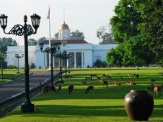 2030, Indonesia Targetkan Ada 47 Kebun Raya