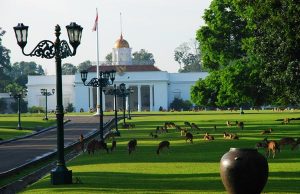 2030, Indonesia Targetkan Ada 47 Kebun Raya