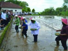 Moeldoko Simulasi Tebar Benih Padi M400 Bersama Petani
