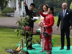 Indonesia – Swedia Sepakat Kerjasama di Bidang Kehutanan