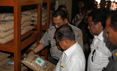Penyediaan Benih, Pemerintah Terapkan Pola Swakelola