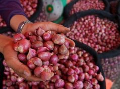 Pangkas distribusi, jual-beli bawang merah kini bisa lewat online