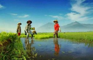 HKTI: Petani Keluhkan Distribusi Subsidi