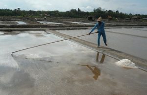 Impor Bukan Solusi Atasi Kelangkaan Garam