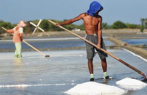 Kebijakan Impor harus Lindungi Harga Petani Garam