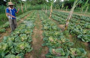 Waduh! Kesejahteraan Petani hingga Ketimpangan Pemilikan Lahan Kian Memburuk