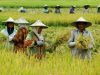 Ketua Umum HKTI: Petani Harus Kaya