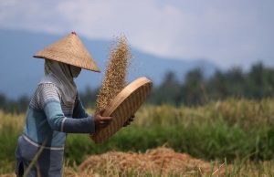 SPI: Regenerasi Petani Terhambat karena Bertani Belum Menjamin Hidup Layak