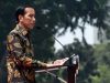 Presiden Ingin Industri Peternakan Dibangun Secara Korporasi