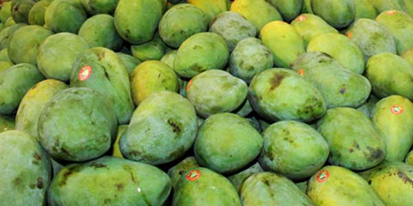 Mangga-Harum-Manis-RI-Diserbu-Pembeli-di-Qatar