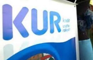 Prabowo Turunkan Bunga KUR Jadi 5 Persen, Efektifkah?