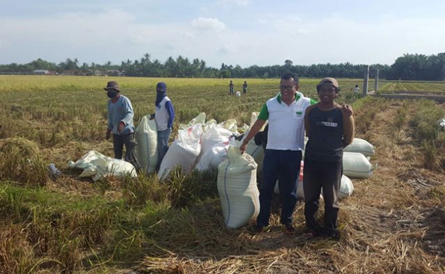 Petani-Menantang-Bulog-Untuk-Menaikkan-Harga-Beli-Gabah