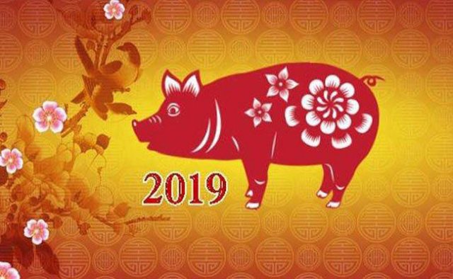 ramalan-shio-paling-beruntung-tahun-2019-di-shio-babi