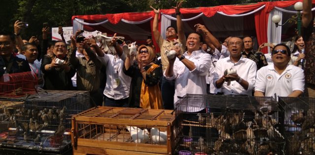 59237_10390115092019_lomba_kicau_burung_di_DPR