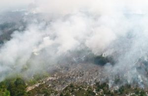 Karhutla di 6 Provinsi Menurun, Tersisa 96,07 Hektare