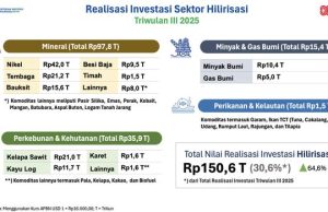 Investasi Proyek Hilirisasi RI Tembus Rp 431 Triliun, Intip Daftar Proyeknya