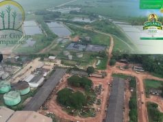Kejagung–KPK Endus Dugaan Korupsi HGU Sugar Group Companies Rp 14,5 Triliun