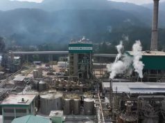 Toba Pulp, Perusahaan yang Dikaitkan dengan Luhut Dicabut Prabowo