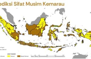 BMKG Ingatkan Kemarau 2026 Lebih Kering, El Nino Berpotensi Muncul
