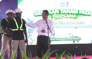 Pemerintah Kucurkan Rp1,3 Triliun untuk Dorong Papua Selatan Jadi Lumbung Pangan Nasional