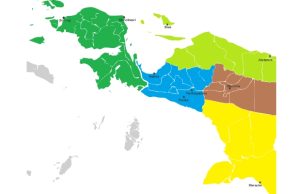 Pansus Papua DPD RI Harus Bongkar Akar Konflik, Mulai Tanah Adat hingga Kepentingan Geopolitik