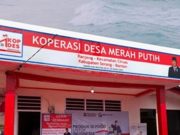 Menggagas Badan Nasional KDKMP