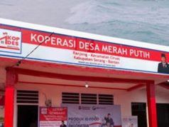 Menggagas Badan Nasional KDKMP