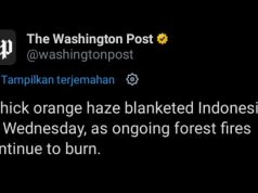 Langit Oranye Palangka Raya, Asap Karhutla Indonesia Picu Krisis Kesehatan Regional